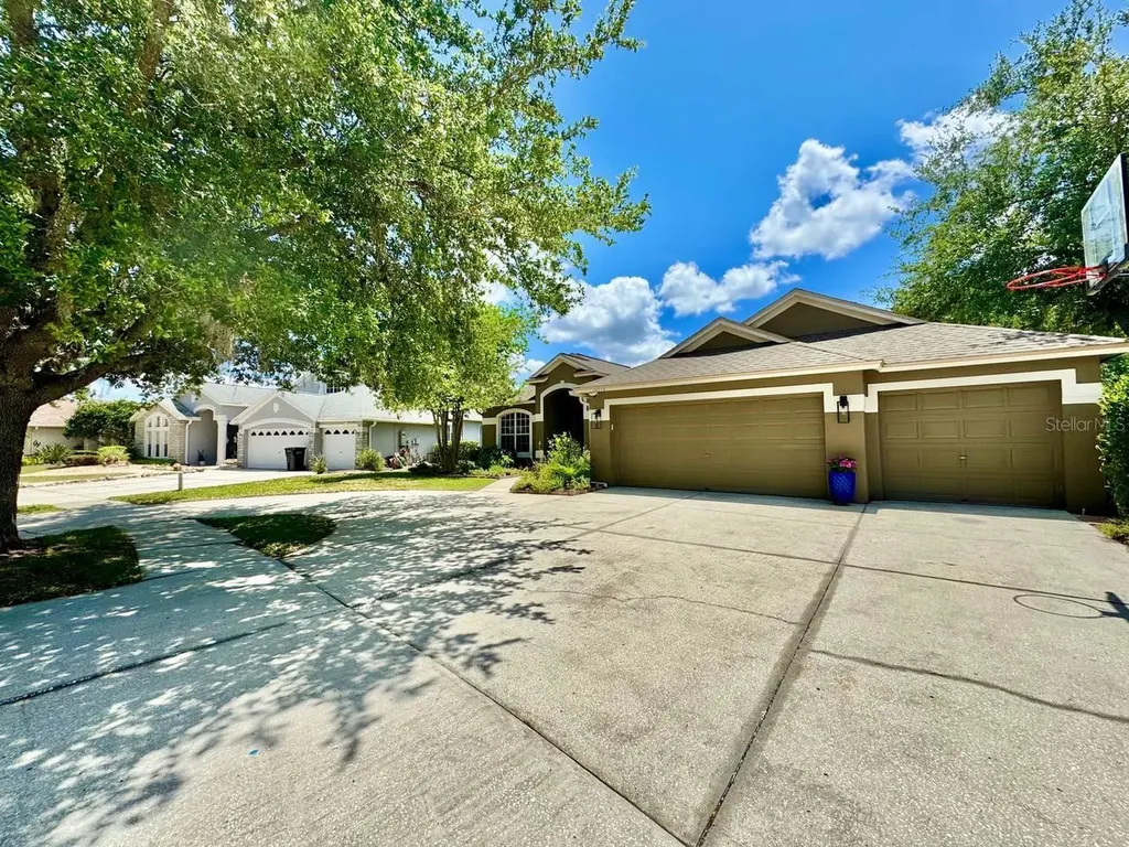 16934 Melissa Ann Drive Lutz FL 33558