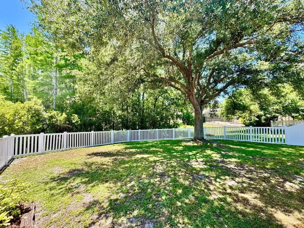16934 Melissa Ann Drive Lutz FL 33558