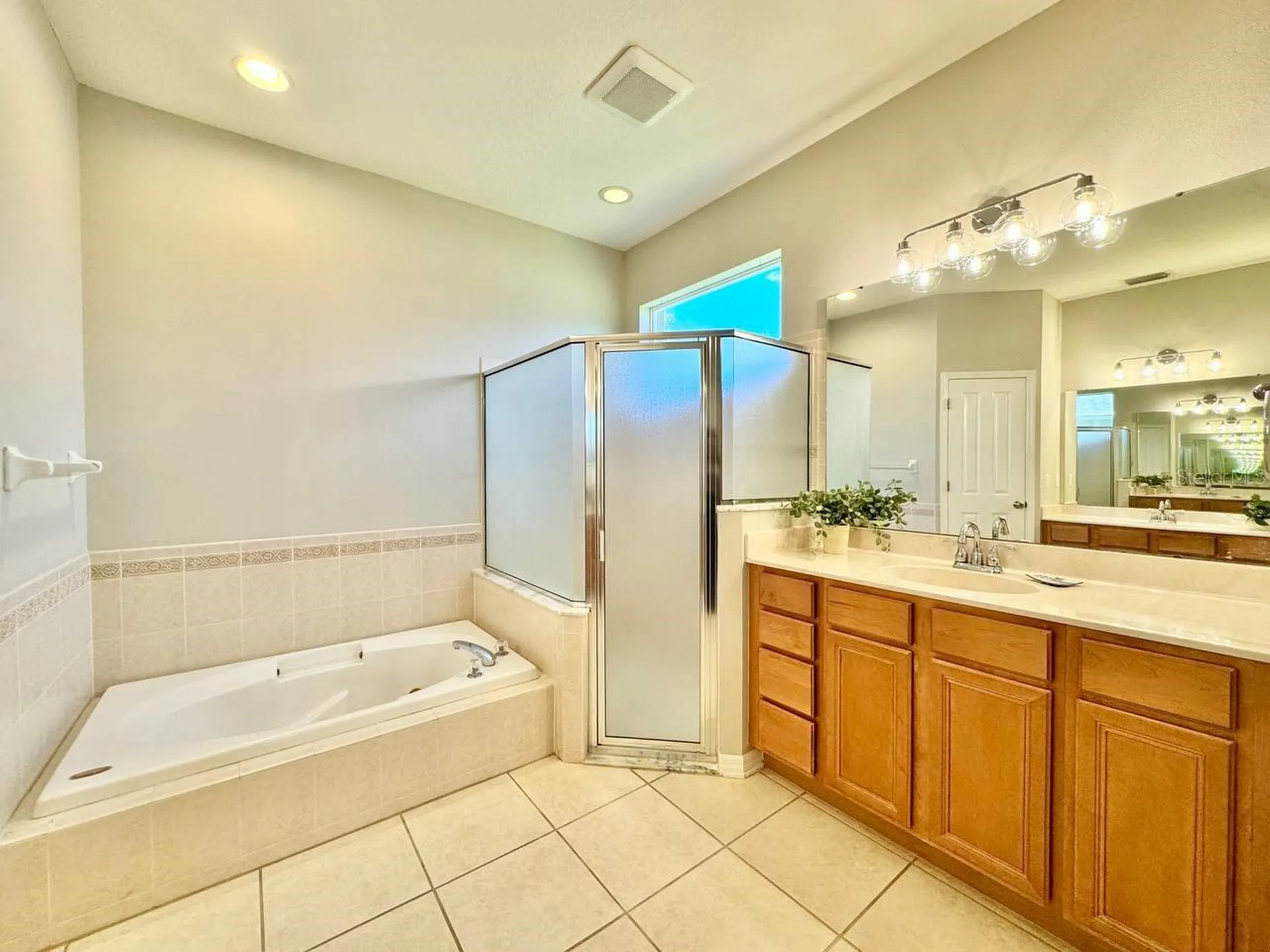 16934 Melissa Ann Drive Lutz FL 33558