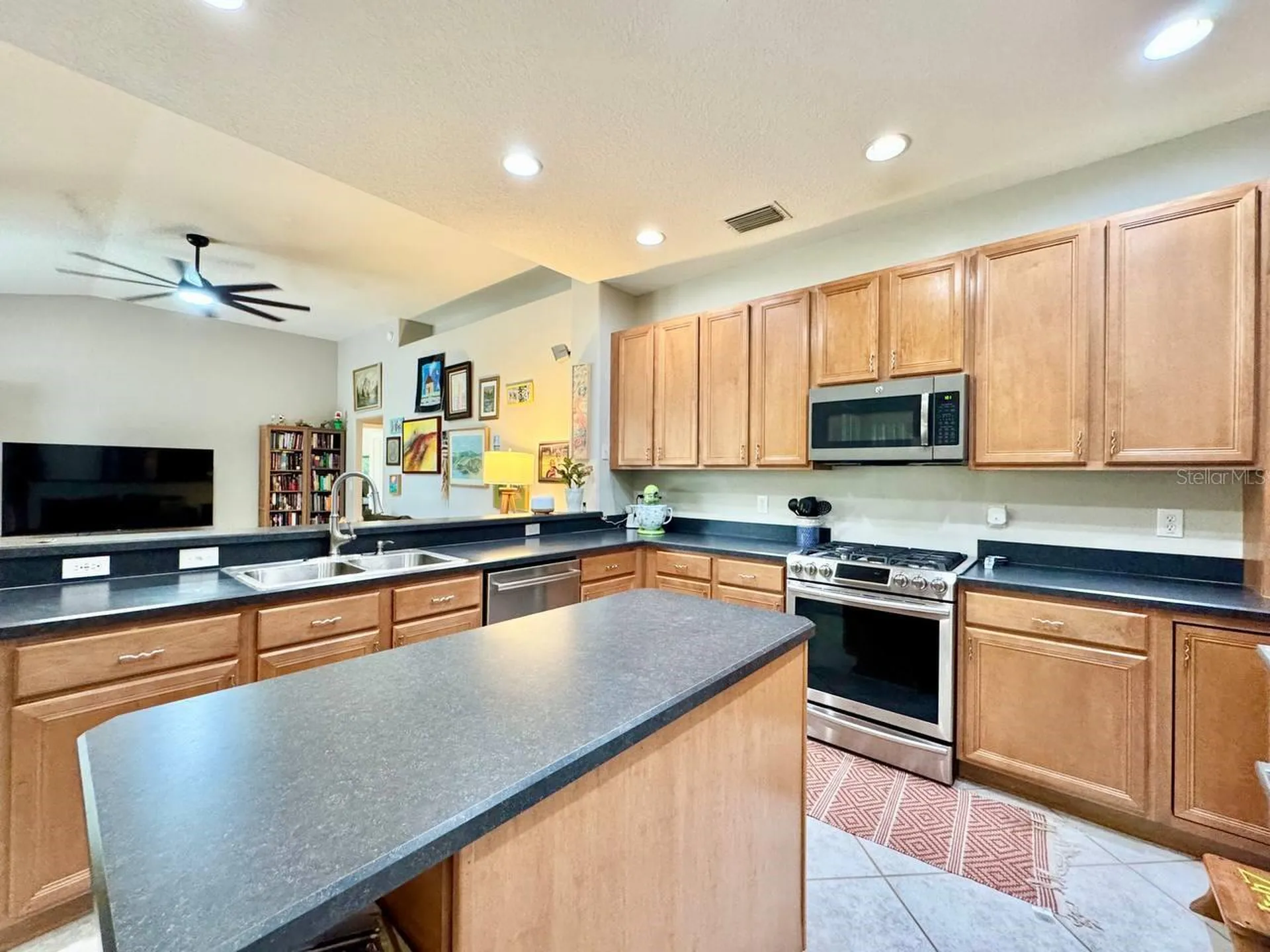 16934 Melissa Ann Drive Lutz FL 33558