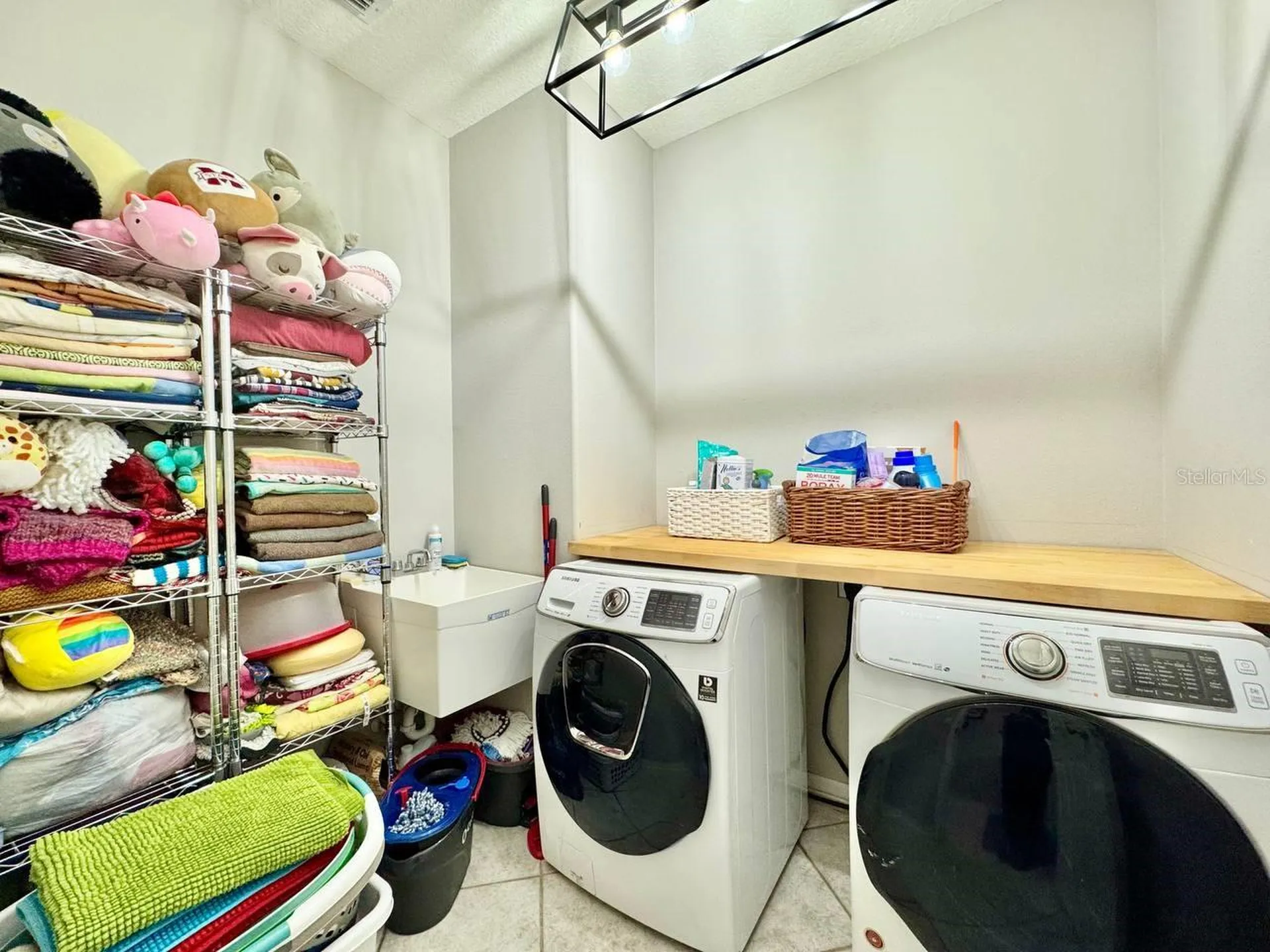 16934 Melissa Ann Drive Lutz FL 33558