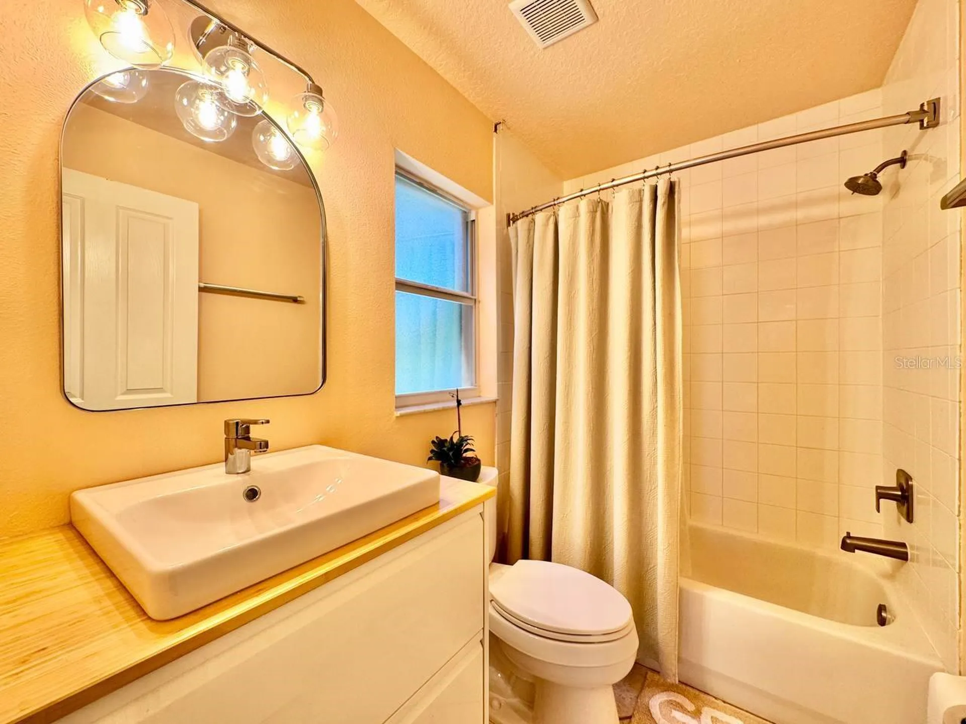 16934 Melissa Ann Drive Lutz FL 33558