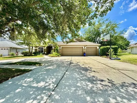 16934 Melissa Ann Drive Lutz FL 33558