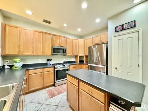 16934 Melissa Ann Drive Lutz FL 33558