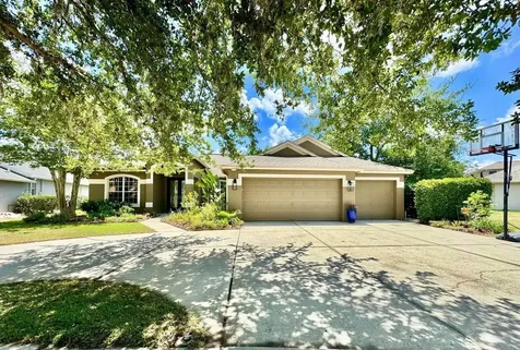 16934 Melissa Ann Drive Lutz FL 33558