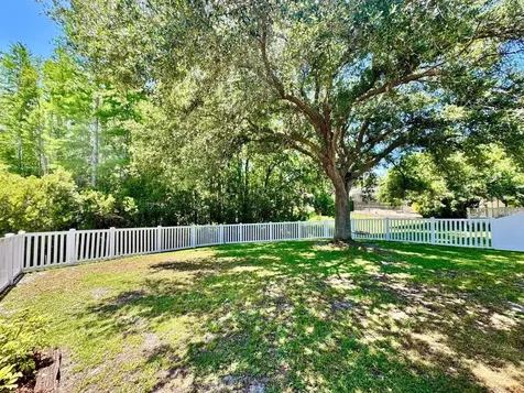 16934 Melissa Ann Drive Lutz FL 33558