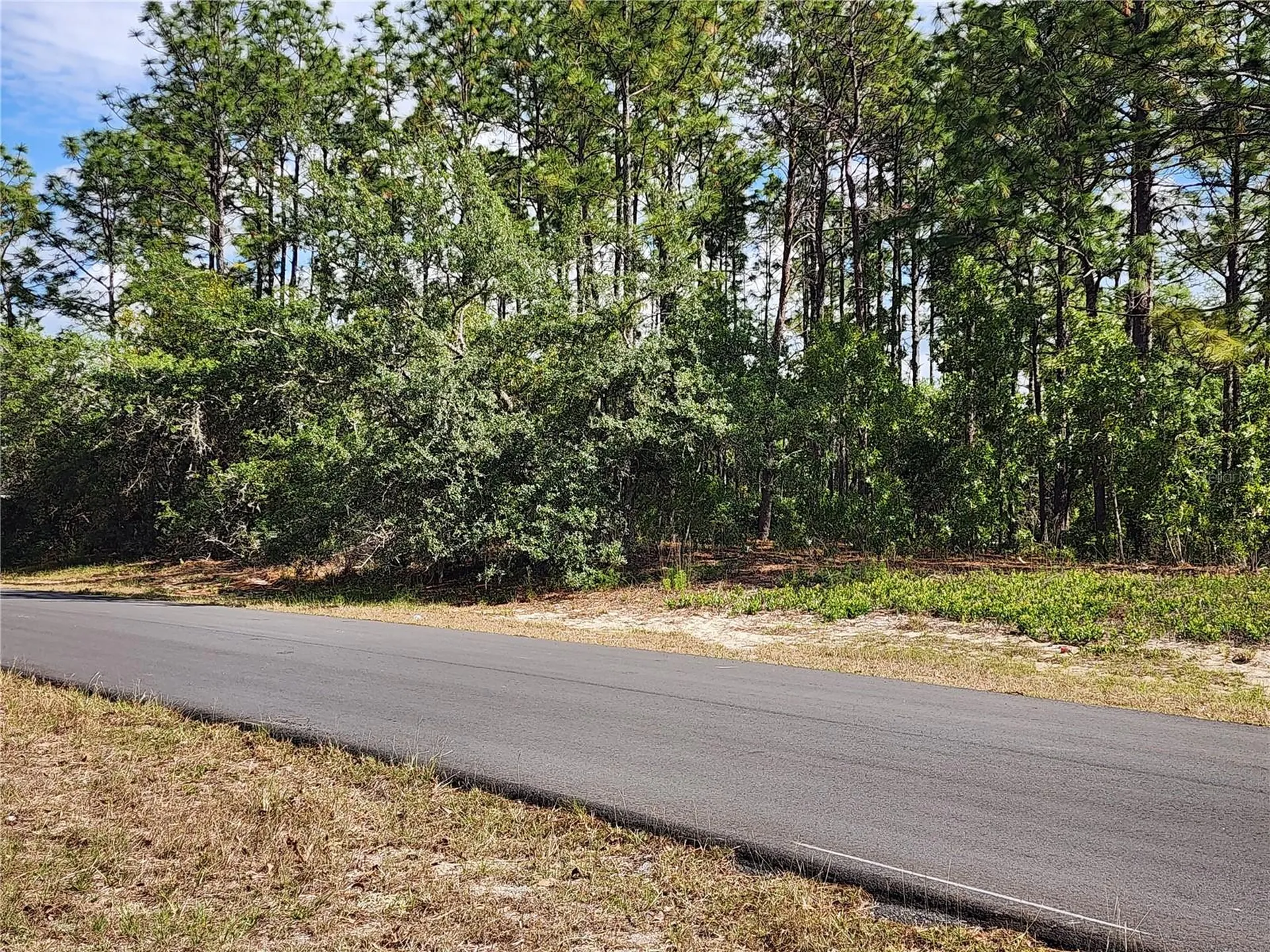 6086 SW 154th Lane Road Ocala FL 34473