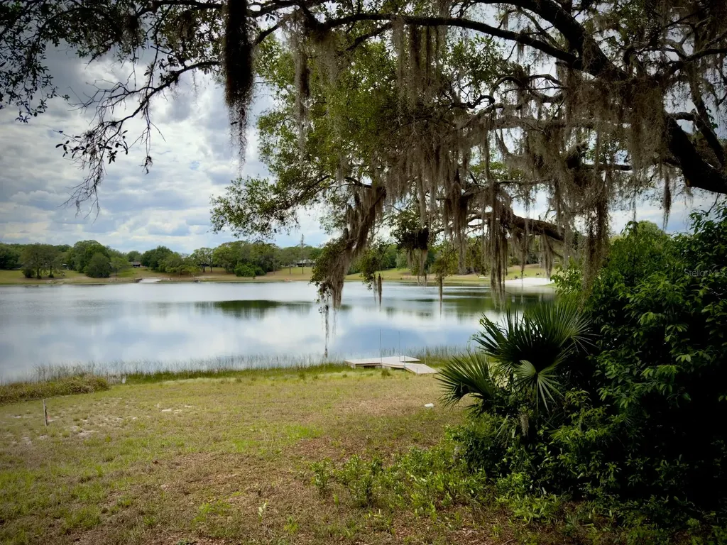 00 SE 146th Terrace Road Ocklawaha FL 32179