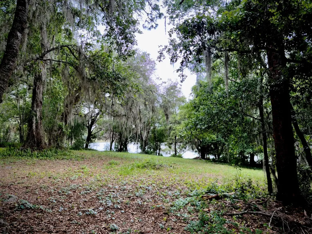 00 SE 146th Terrace Road Ocklawaha FL 32179