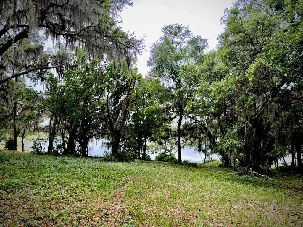 00 SE 146th Terrace Road Ocklawaha FL 32179