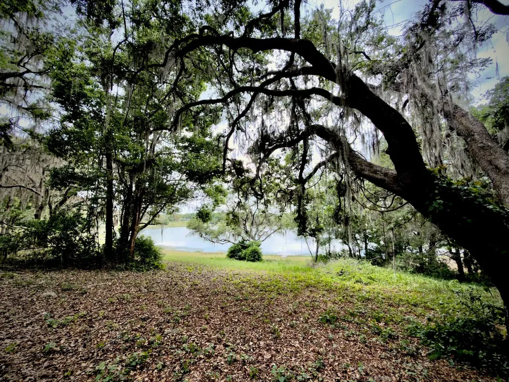 00 SE 146th Terrace Road Ocklawaha FL 32179