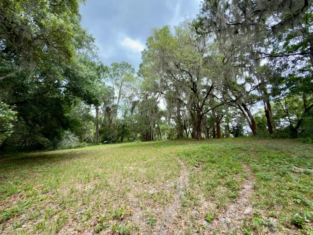 00 SE 146th Terrace Road Ocklawaha FL 32179