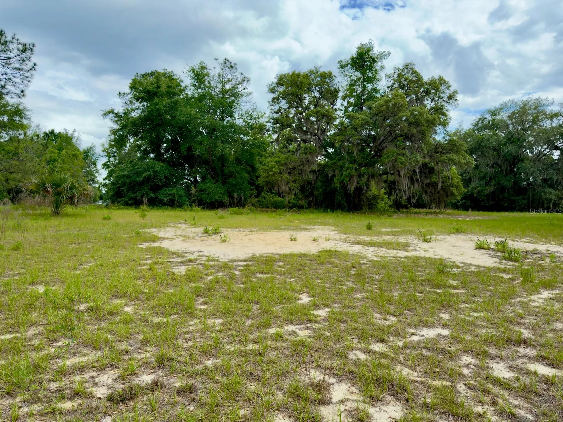 00 SE 146th Terrace Road Ocklawaha FL 32179