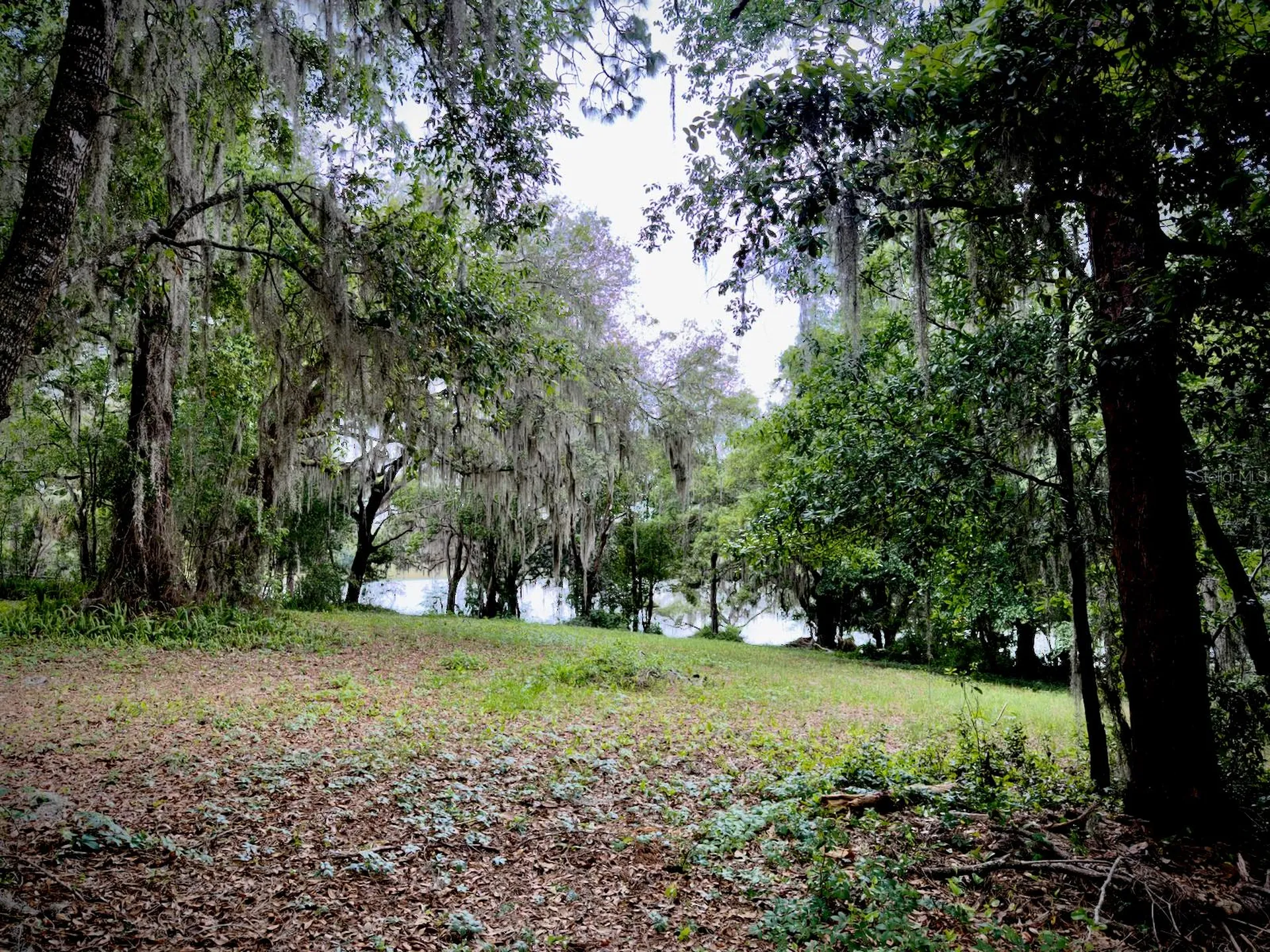 00 SE 146th Terrace Road Ocklawaha FL 32179