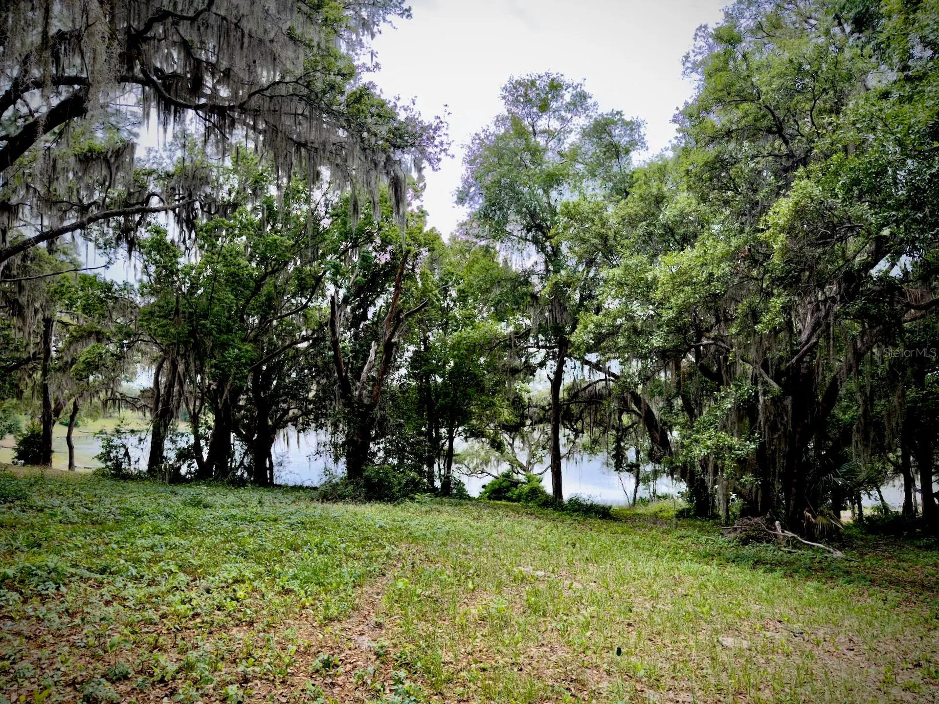 00 SE 146th Terrace Road Ocklawaha FL 32179