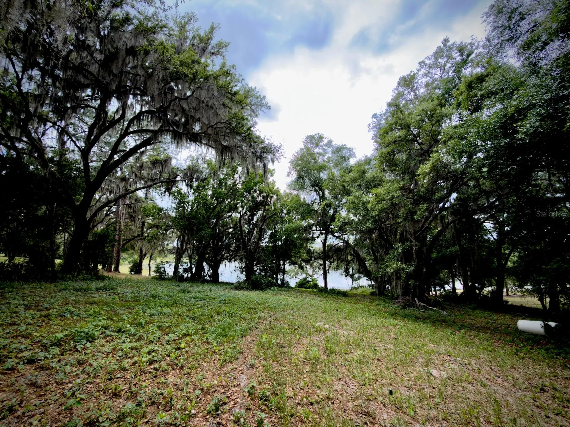 00 SE 146th Terrace Road Ocklawaha FL 32179