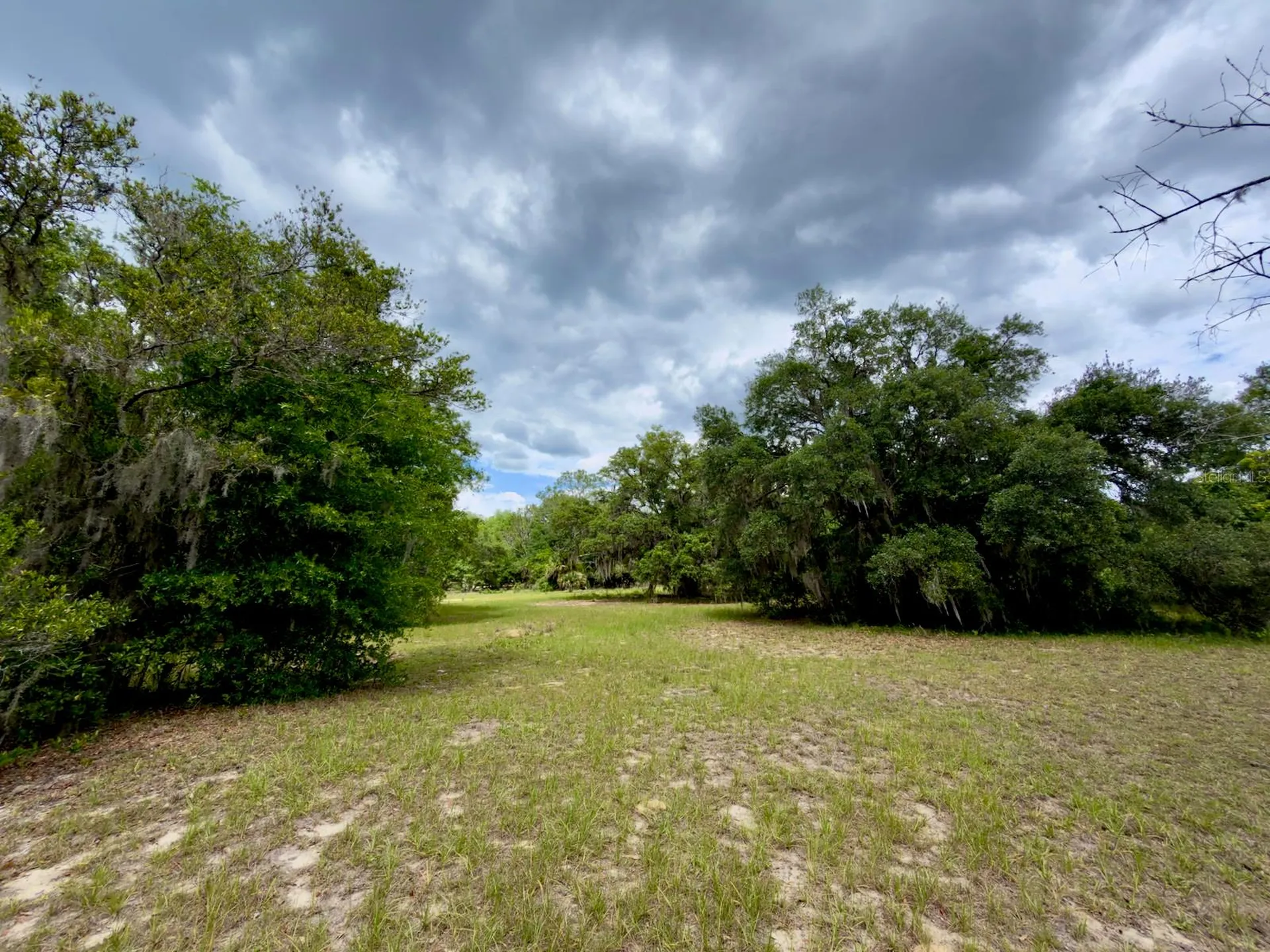 00 SE 146th Terrace Road Ocklawaha FL 32179
