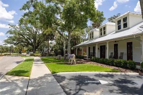 461 Geranium Park Way Winter Garden FL 34787