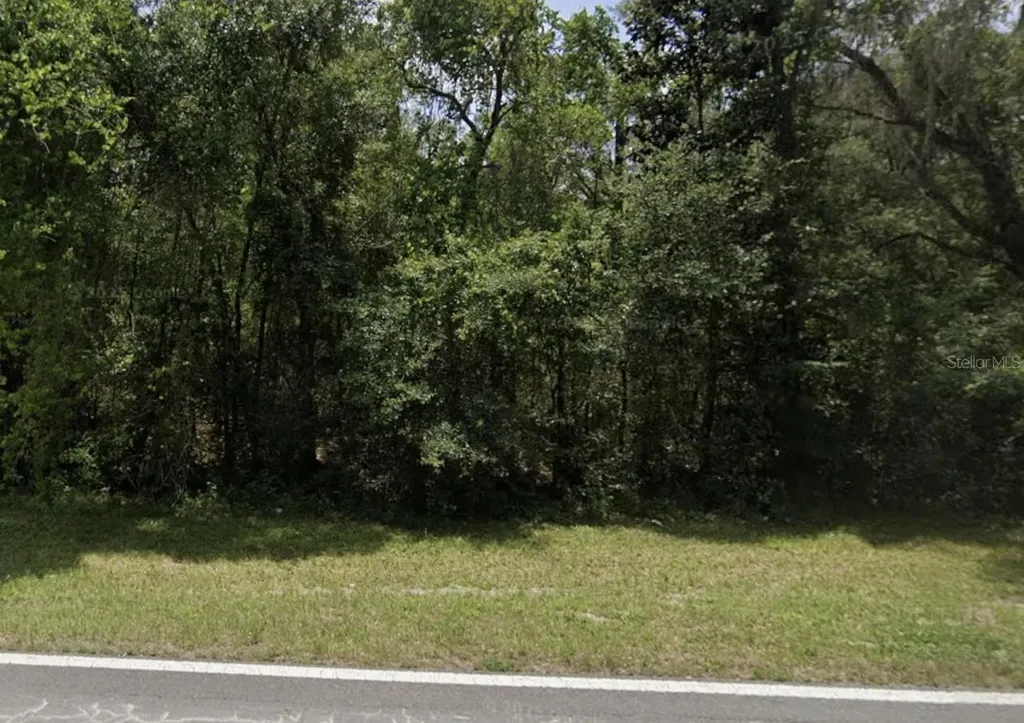 Lake Lindsey Road Nobleton FL 34661