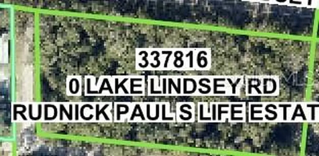 Lake Lindsey Road Nobleton FL 34661