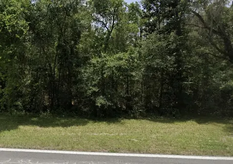 Lake Lindsey Road Nobleton FL 34661