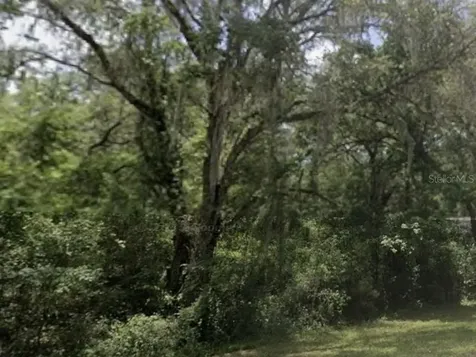 Lake Lindsey Road Nobleton FL 34661