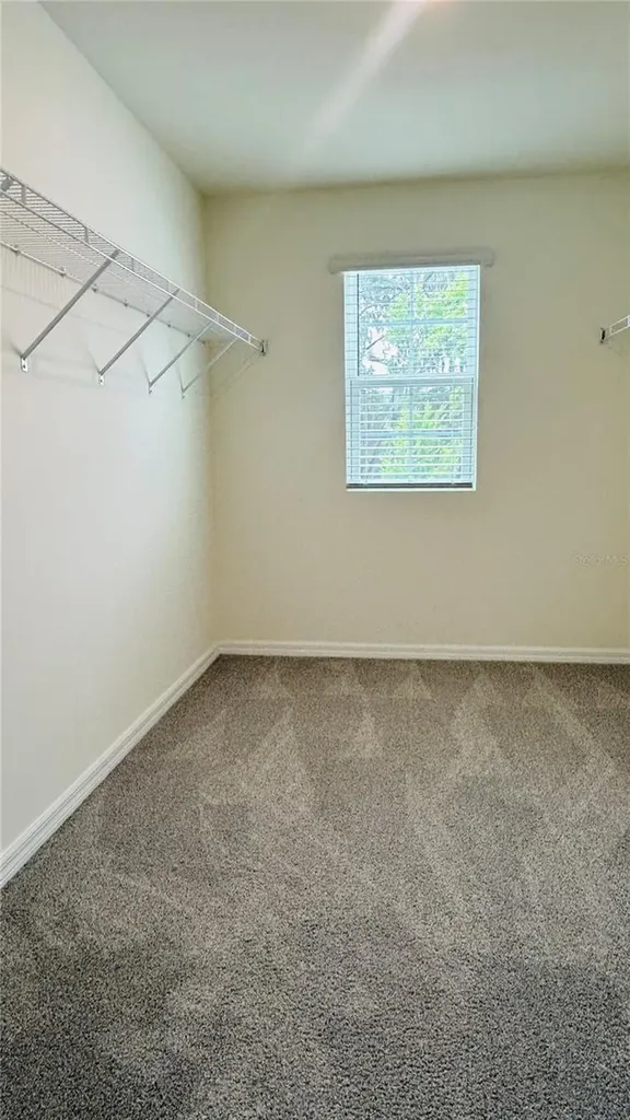 5164 SW 49th Lane Gainesville FL 32608