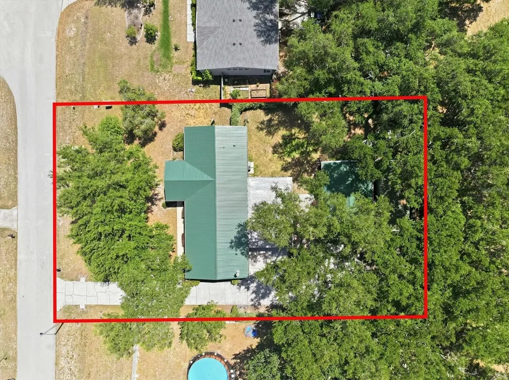 33906 Coddle Court Wesley Chapel FL 33543