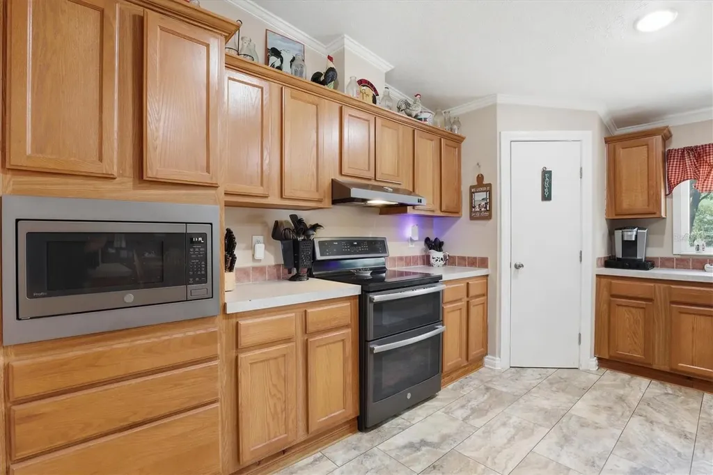 33906 Coddle Court Wesley Chapel FL 33543