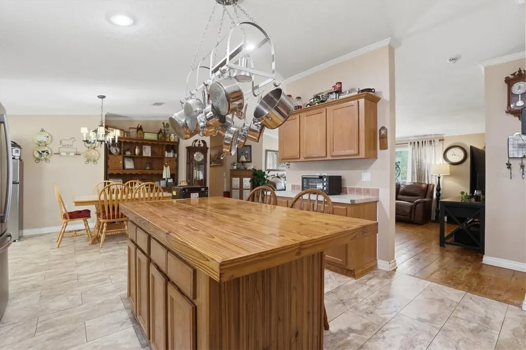 33906 Coddle Court Wesley Chapel FL 33543
