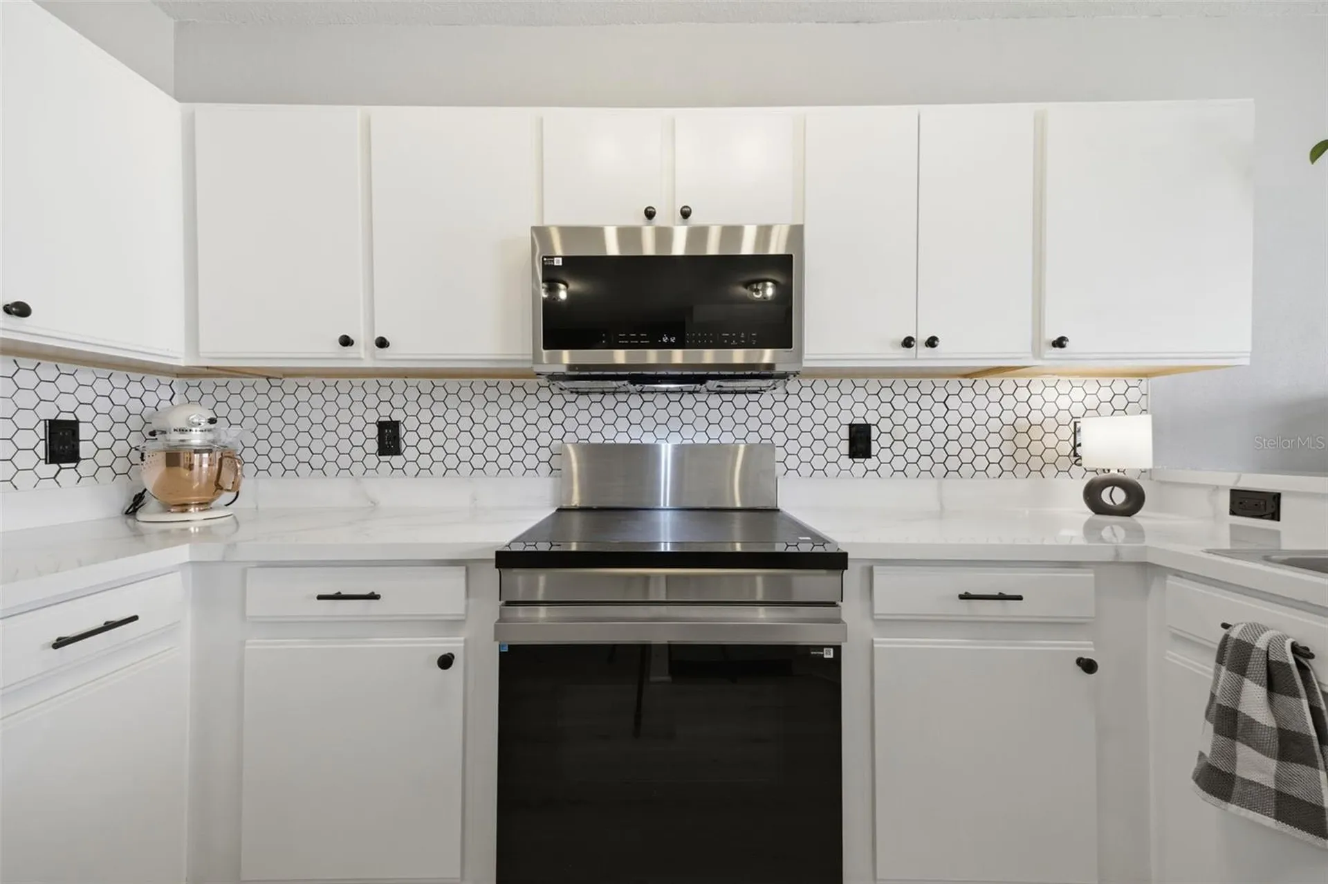 9769 Carlsdale Drive Riverview FL 33578
