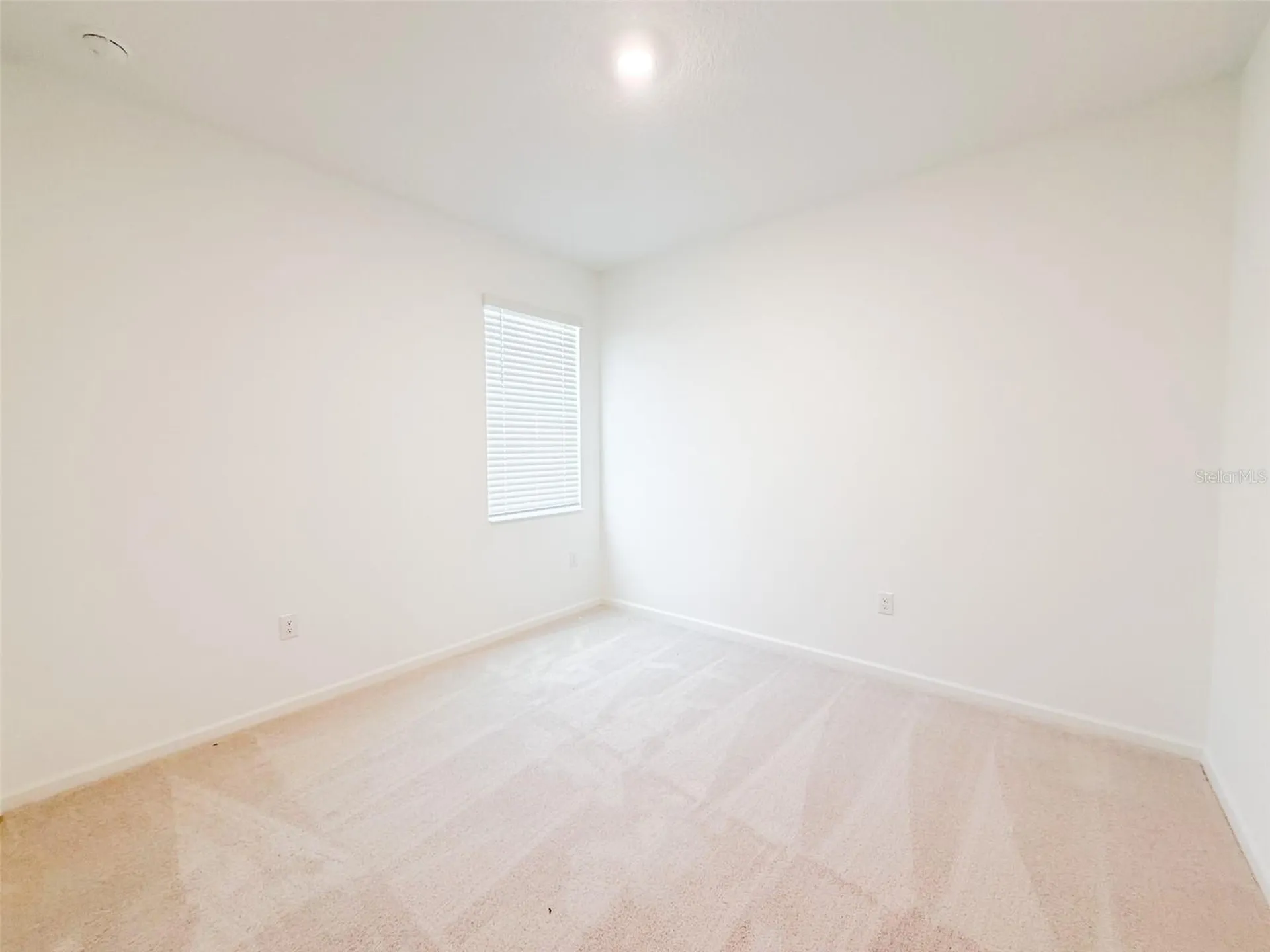 2023 Firethorn Loop Haines City FL 33844