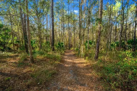 3255 NE 104th Avenue Silver Springs FL 34488