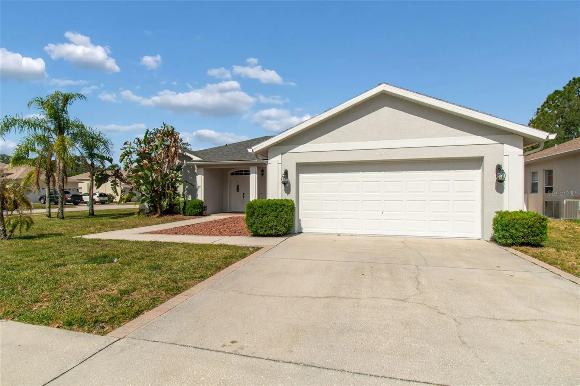 4203 Anaconda Drive New Port Richey FL 34655