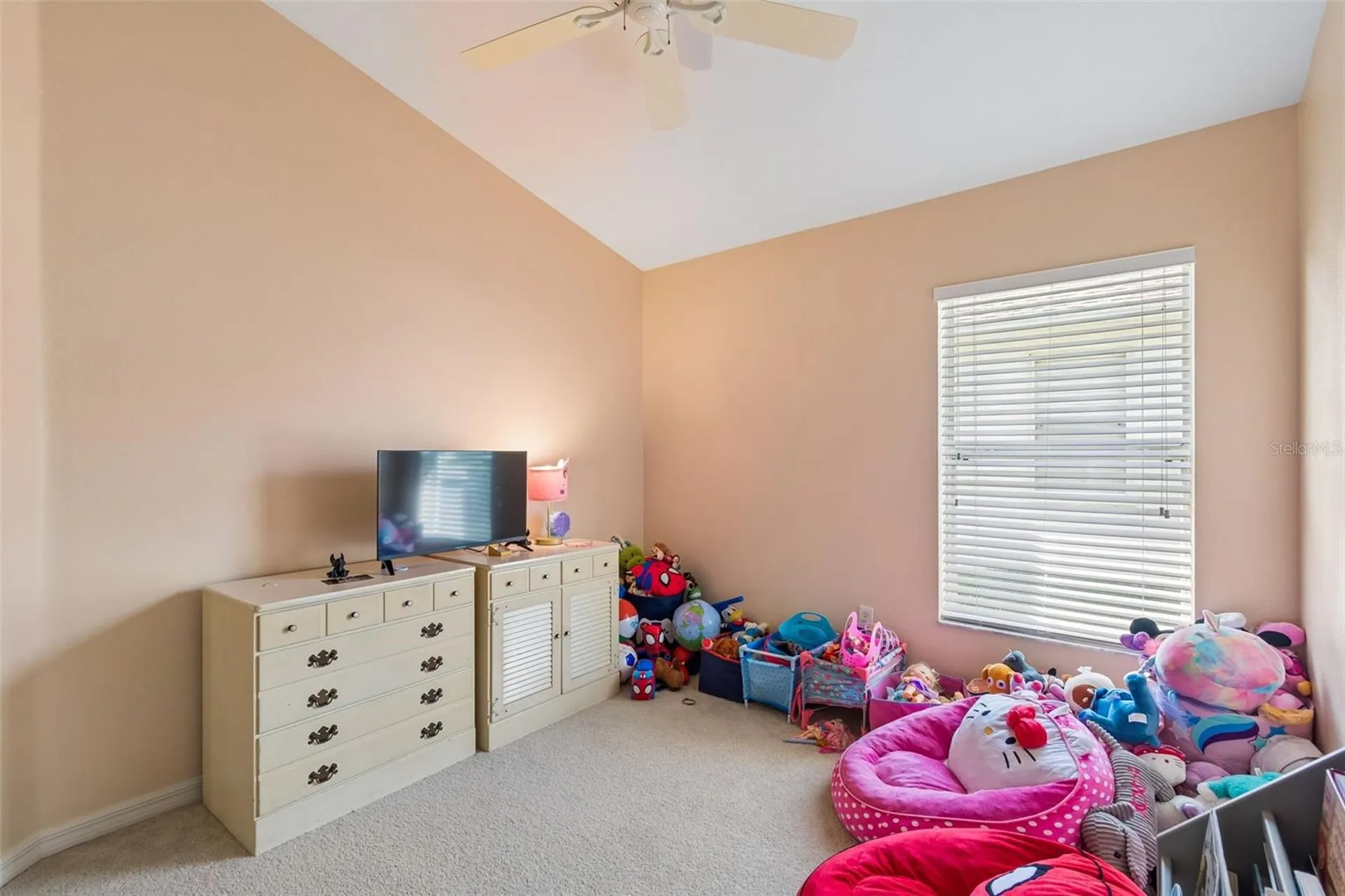 4017 Langdrum Drive Wesley Chapel FL 33543