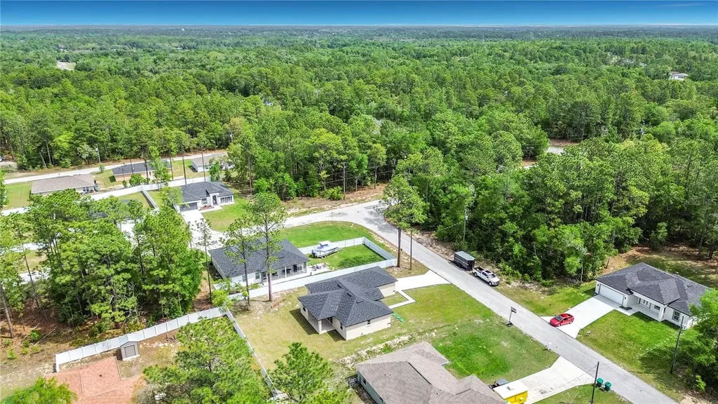 10970 N Dragonis Drive Citrus Springs FL 34433