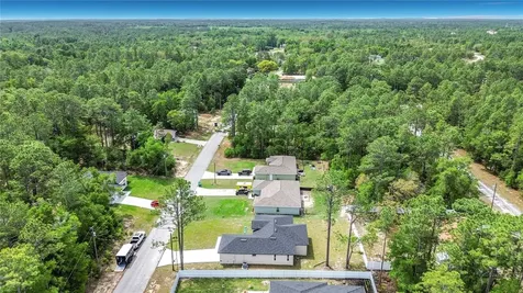 10970 N Dragonis Drive Citrus Springs FL 34433