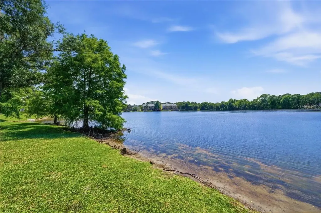 2824 Countryside Boulevard Clearwater FL 33761