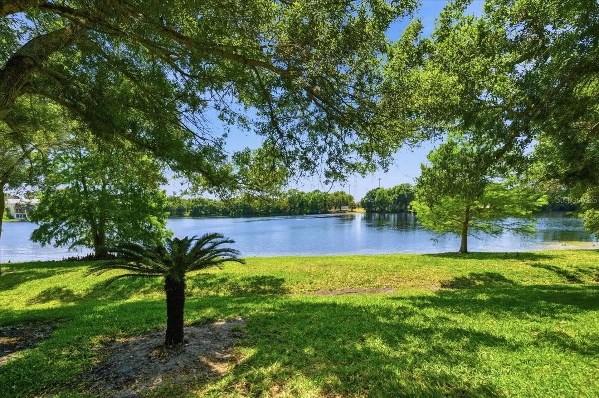 2824 Countryside Boulevard Clearwater FL 33761