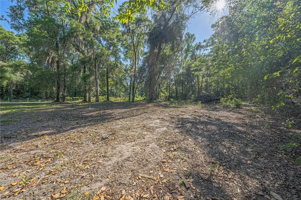 13755 SW 15th Place Ocala FL 34481