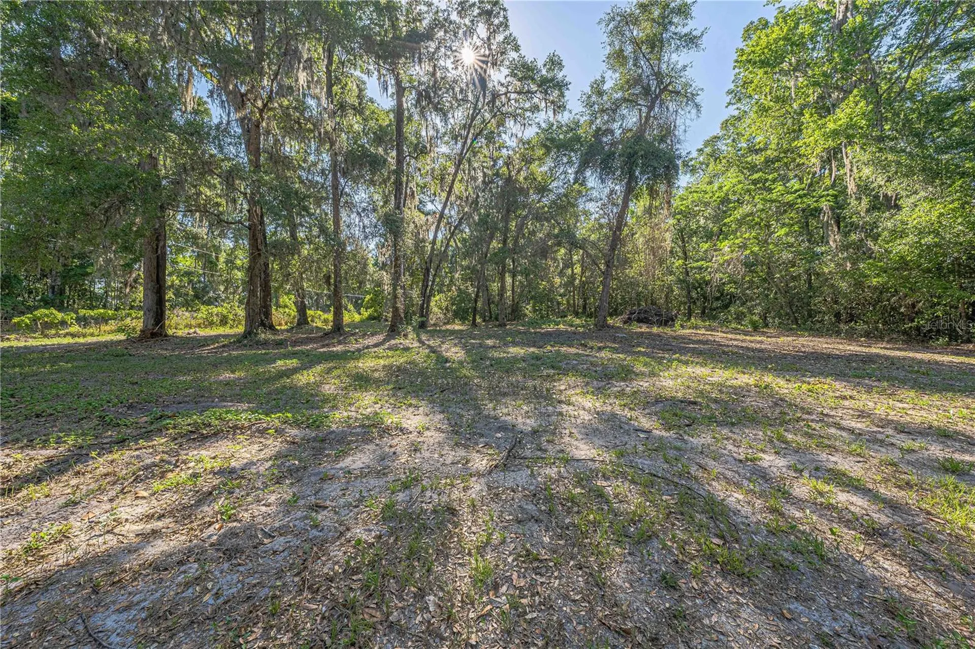 13755 SW 15th Place Ocala FL 34481