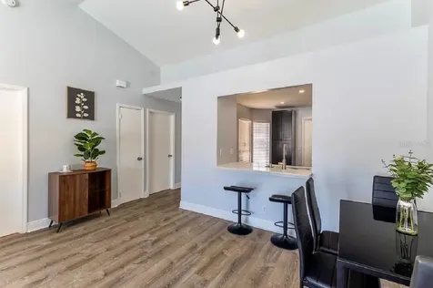 252 Hidden Springs Circle Kissimmee FL 34743