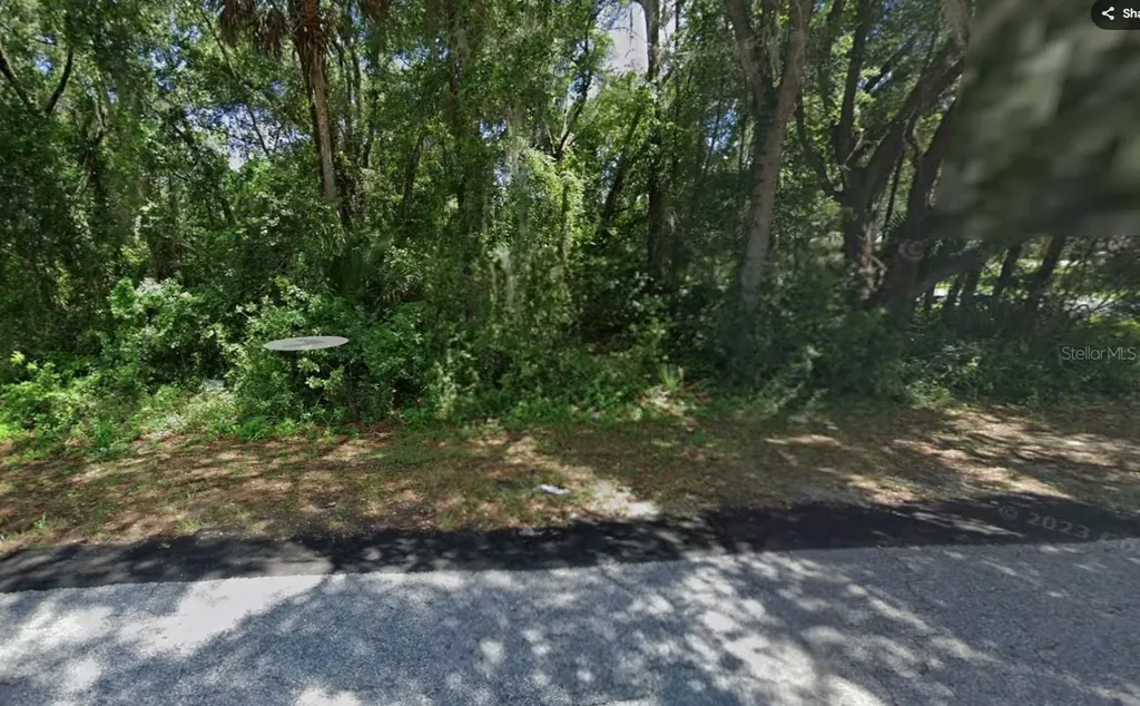 4131 E Berry Street Inverness FL 34453