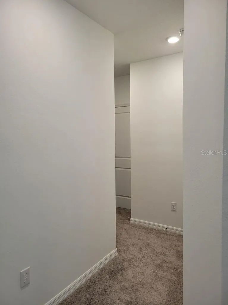31364 Midnight Sun Way Wesley Chapel FL 33545