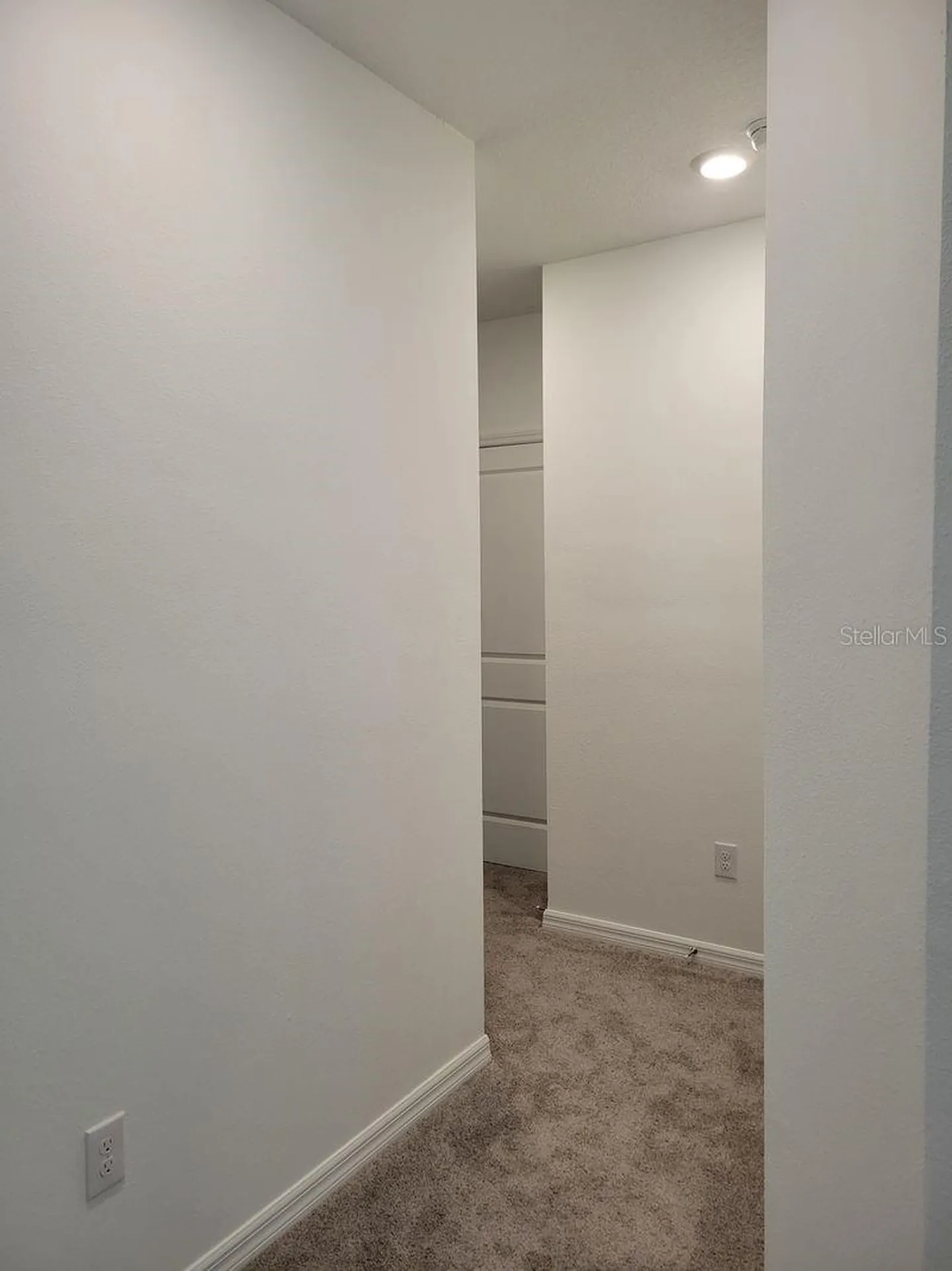 31364 Midnight Sun Way Wesley Chapel FL 33545