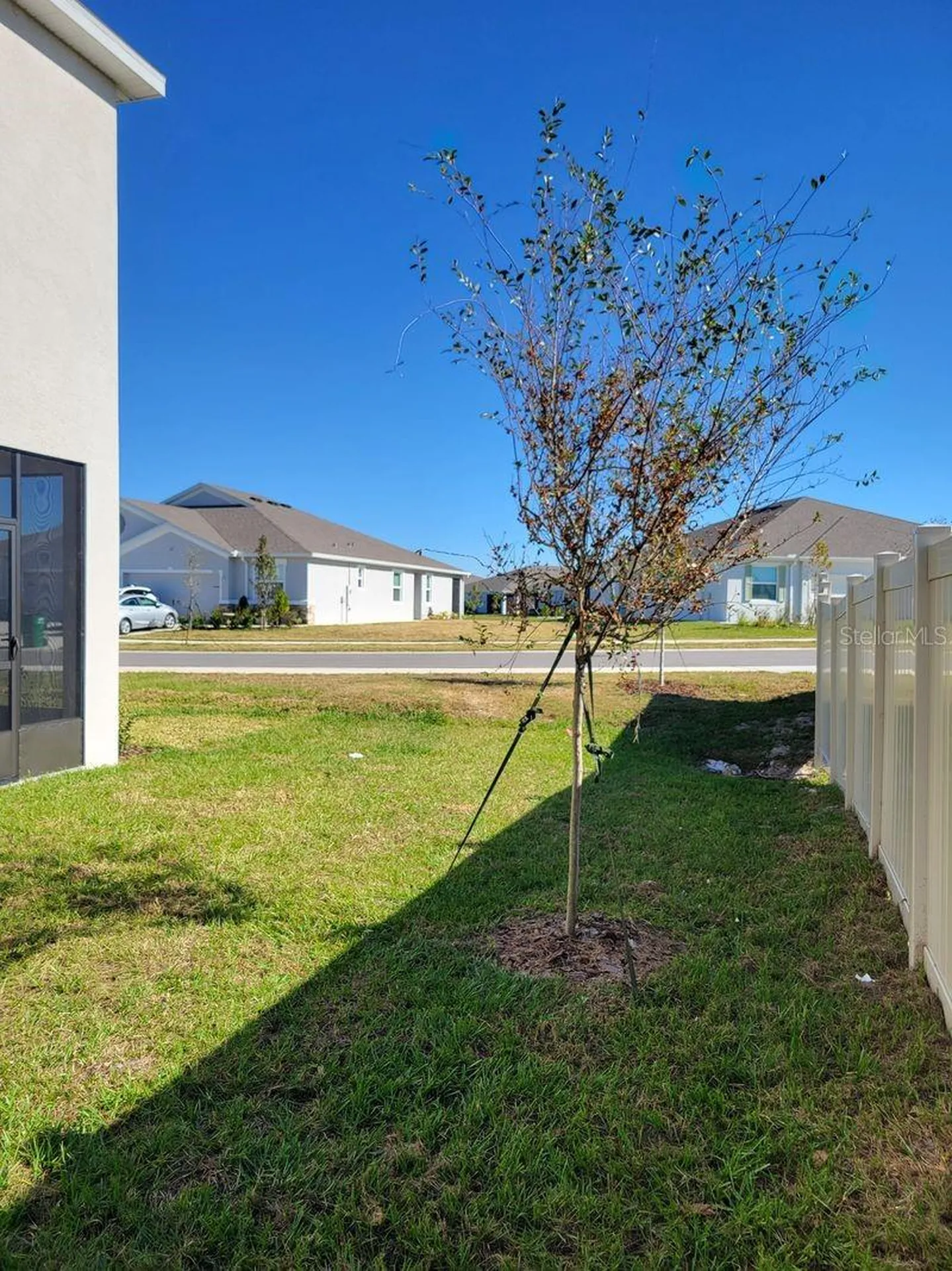 31364 Midnight Sun Way Wesley Chapel FL 33545