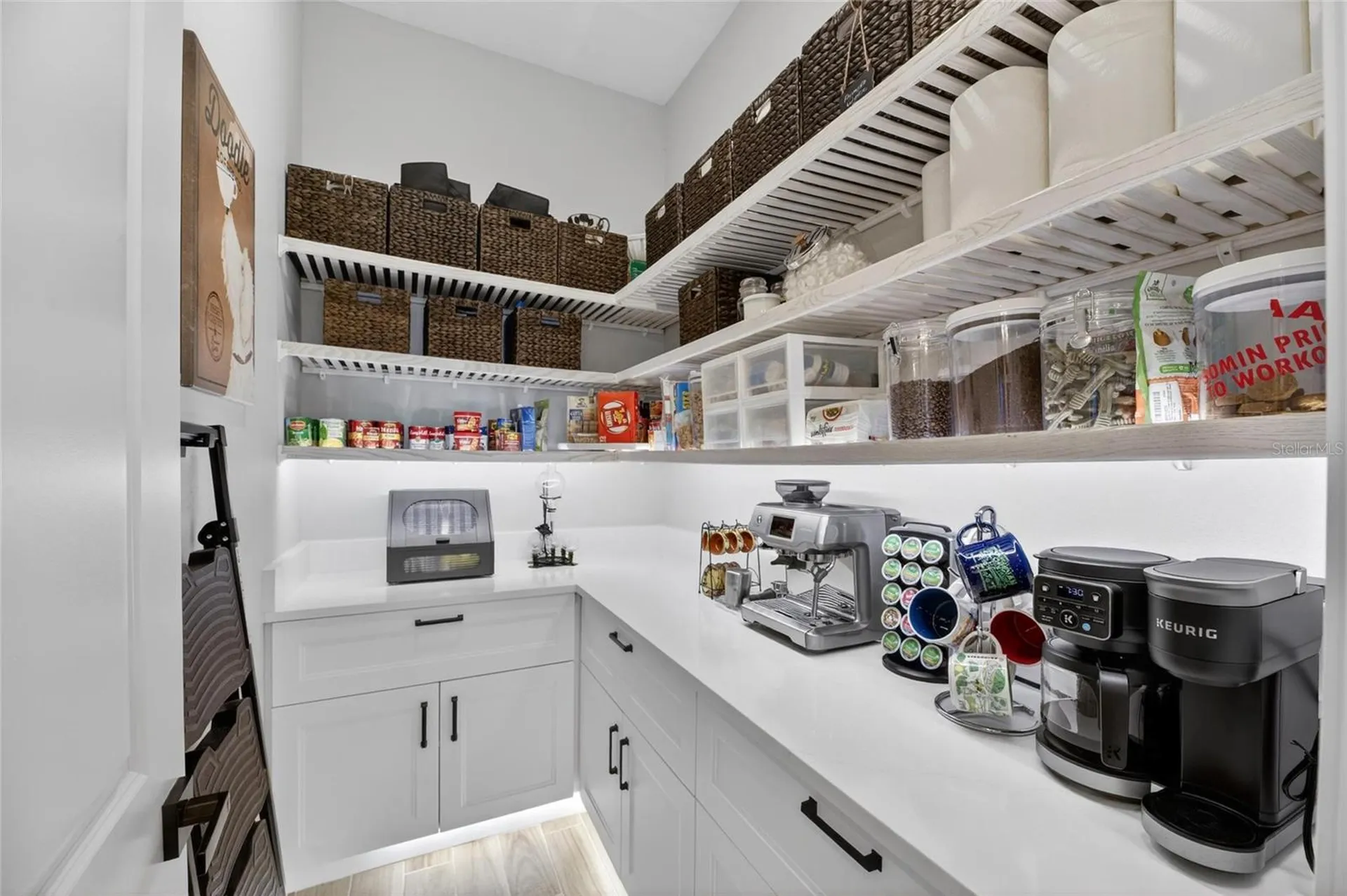 1075 Seagrape Drive Ruskin FL 33570