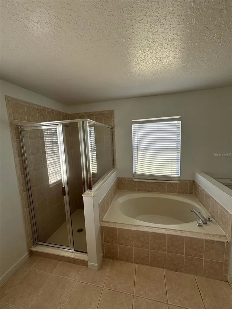 1001 Eiffel Lane Kissimmee FL 34759
