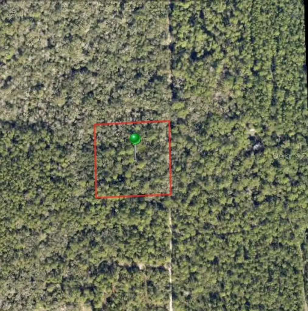 Lake Harney Road Osteen FL 32764