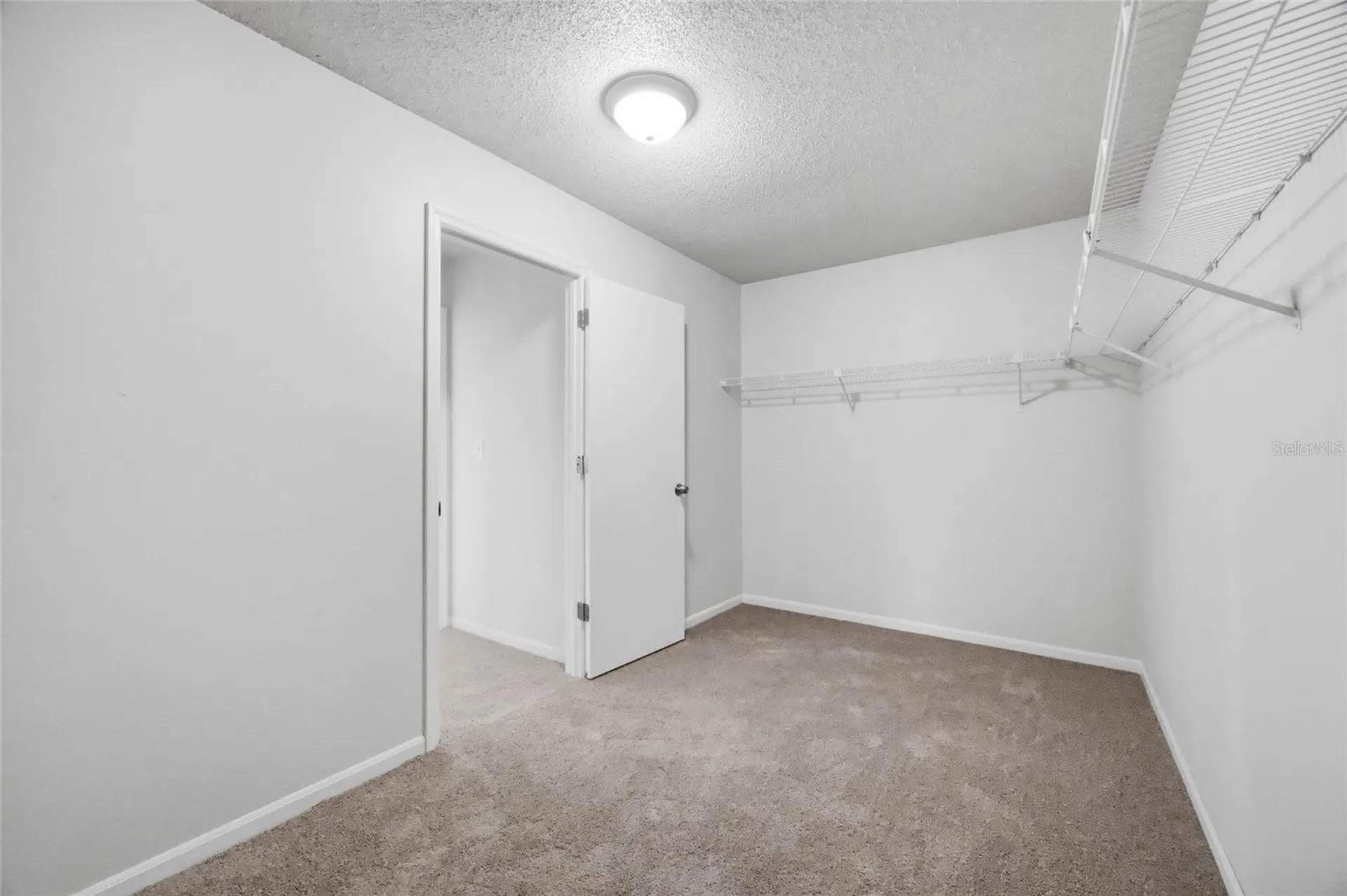 1441 Monte Lake Drive Valrico FL 33596